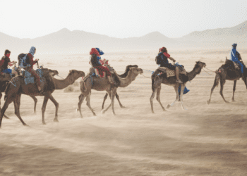 The Incredible Reasons You Need To Travel Africa