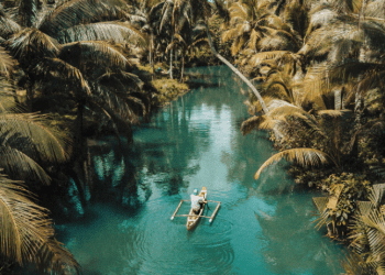 Why Traveling Plays Such An Important Role In Ourlives?