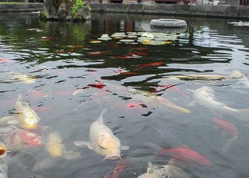 The Ultimate Guide to Backpacker Hostels in Europe