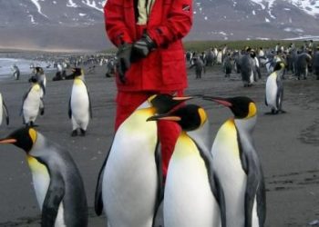 Discovering the Wonders of Antartica: A Journey to a Featured Destination