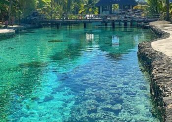 10 Essential Travel Tips You Need to Know Before Your Next Adventure