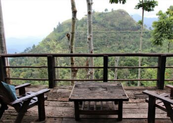 Budget-Friendly Accommodation Options for the Thrifty Traveler