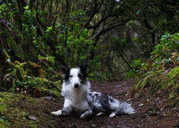 Wanderlust Worthy: Exploring the Hidden Gems of Travel Destinations