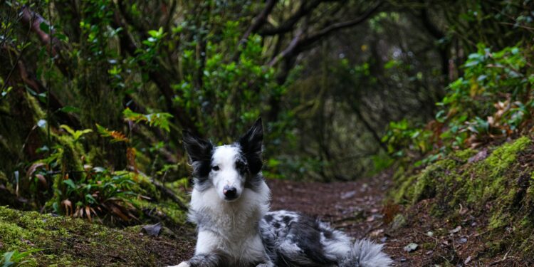 Wanderlust Worthy: Exploring the Hidden Gems of Travel Destinations